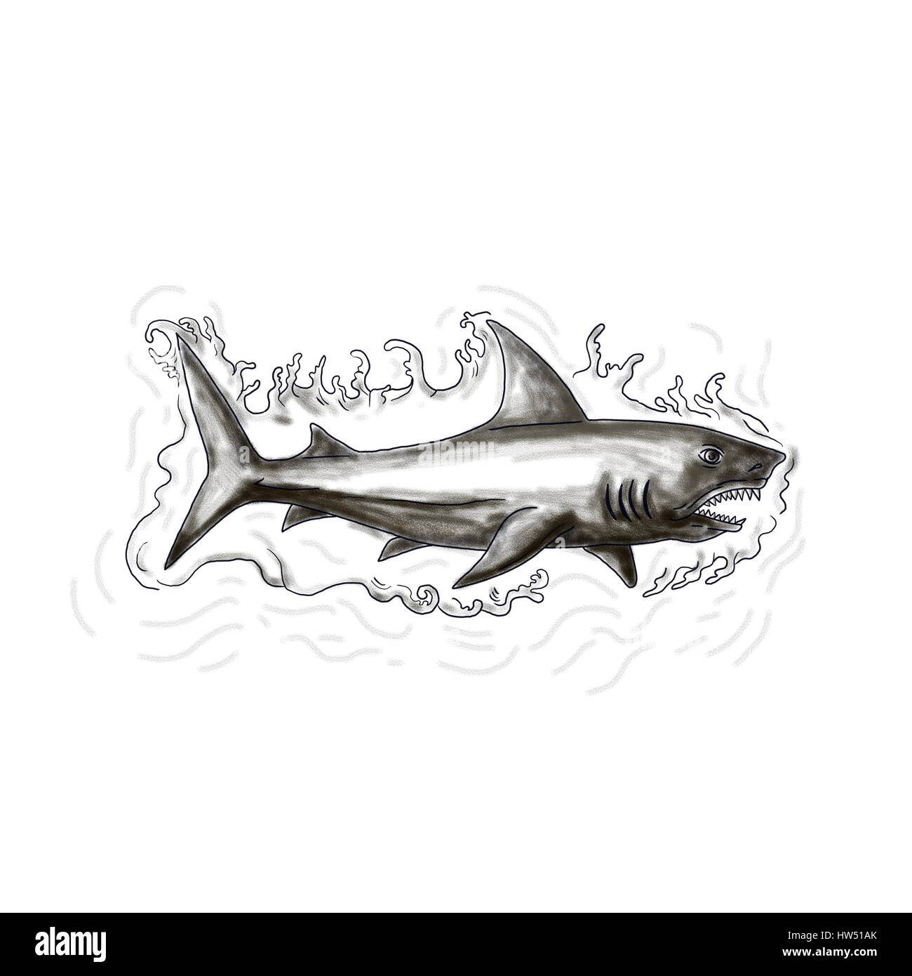Illustration de style tatouage requin nager dans l'eau depuis le côté isolé sur fond blanc. Banque D'Images