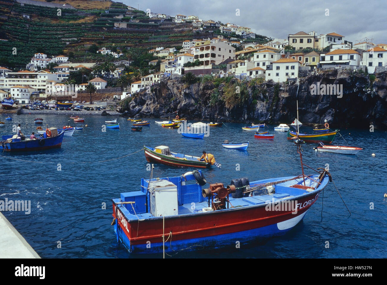 Câmara de Lobos. Madère. Portugal Banque D'Images