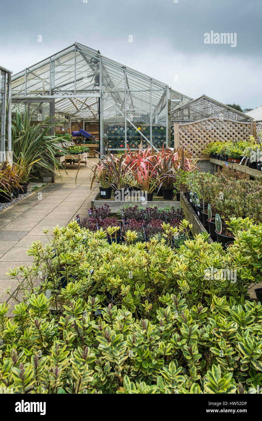 Centre Jardin Arbustes Plantes Vente Activité de loisirs entreprise de jardinage Afficher Banque D'Images