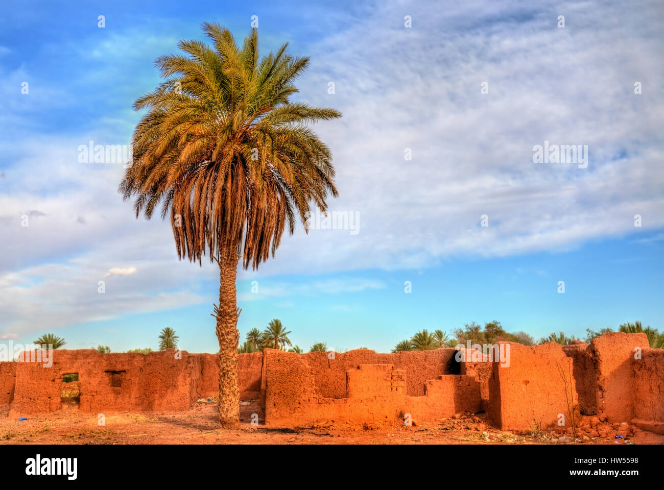 Palmeraie de Ouarzazate, Maroc Banque D'Images