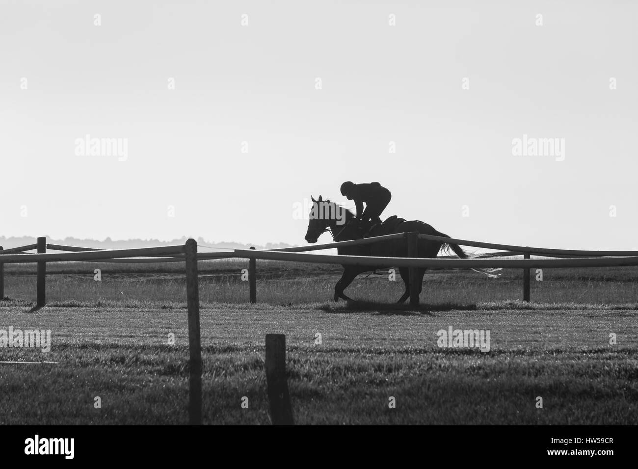 La silhouette du jockey cheval de course les courses d'entraînement non identifiés photo en noir et blanc. Banque D'Images