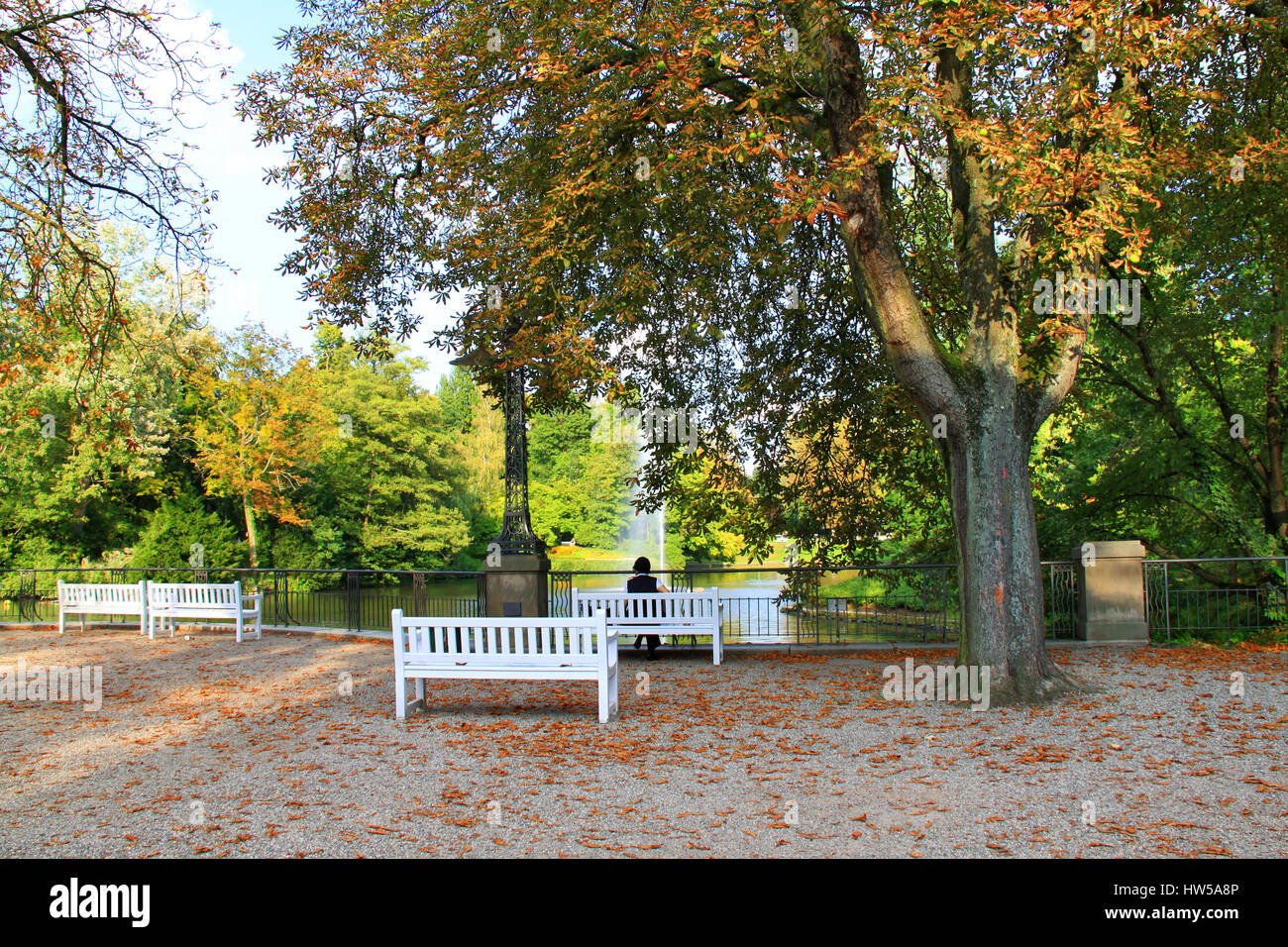 Parc Kurpark Wiesbaden (Allemagne) - Personne sur le banc, vue sur la mer - automne automne, arbres et arbustes à feuilles colorées Banque D'Images