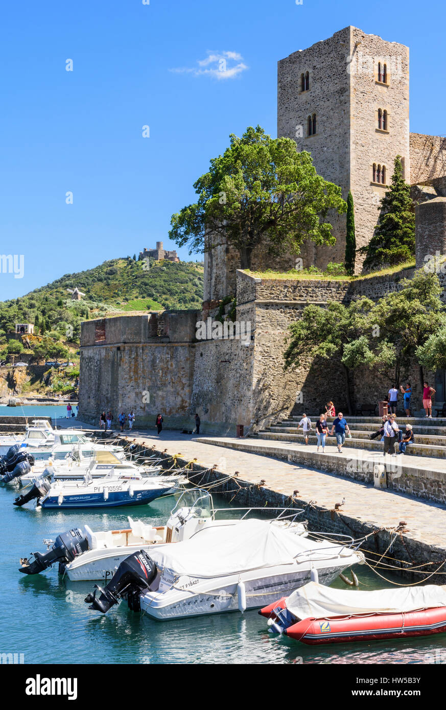 Le Château Royal donnant sur le petit port de Collioure, Côte Vermeille, France Banque D'Images