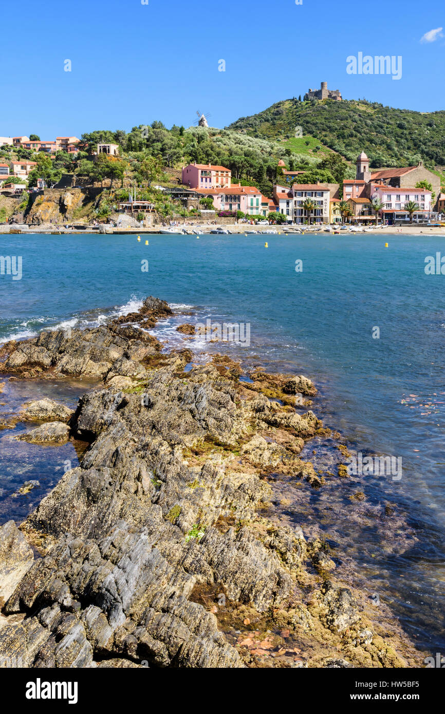 Plage de port d'Avall dominé par le Fort St Elme et le moulin, Collioure, Côte Vermeille, France Banque D'Images