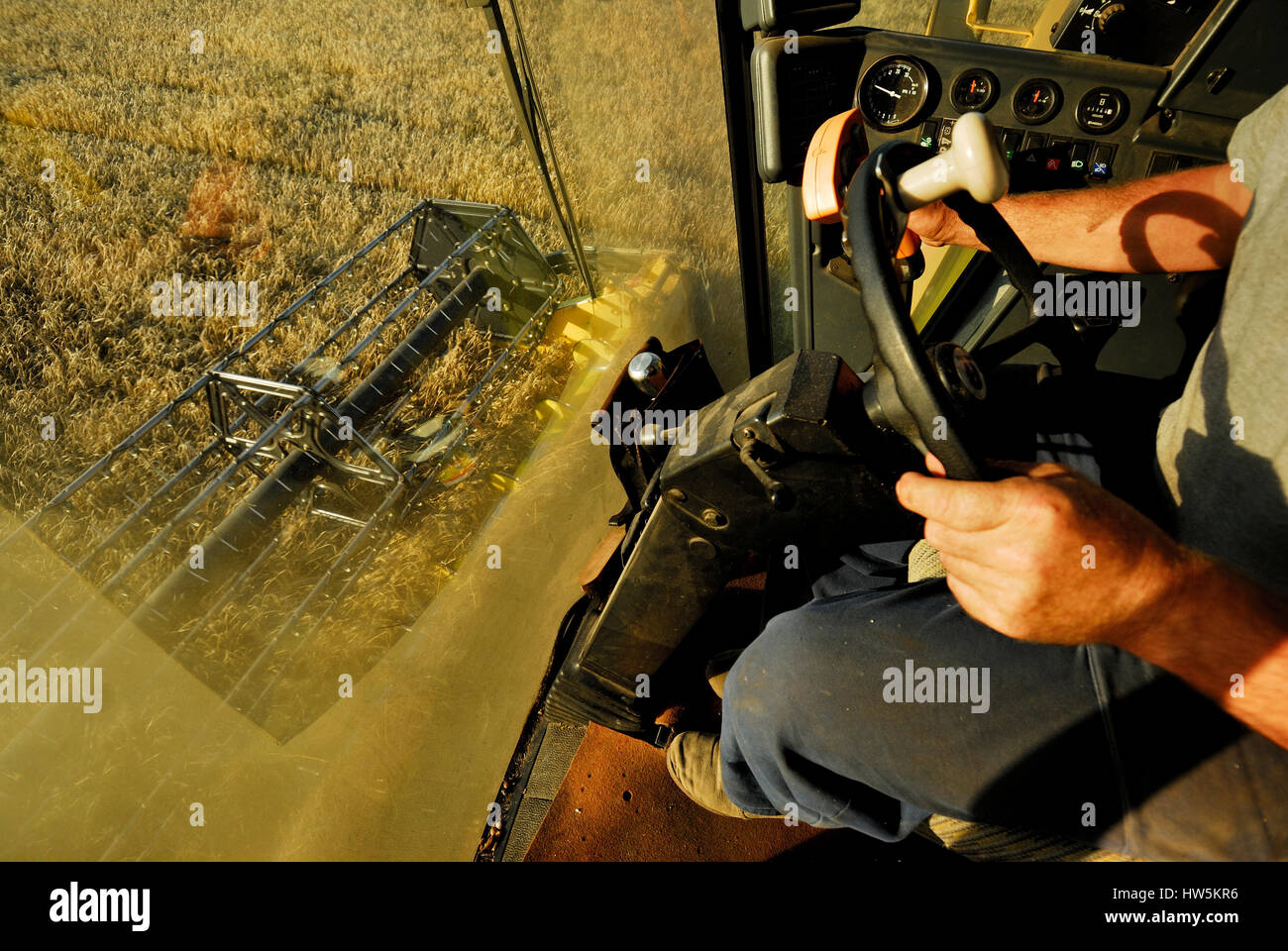 L'agriculture, de l'agriculture, d'anciens, meubles anciens, artistique, historique, noir, bleu, pain, céréales, moissonneuse-batteuse, le pays, la campagne, l'équipement, l'agriculture, la ferme Banque D'Images