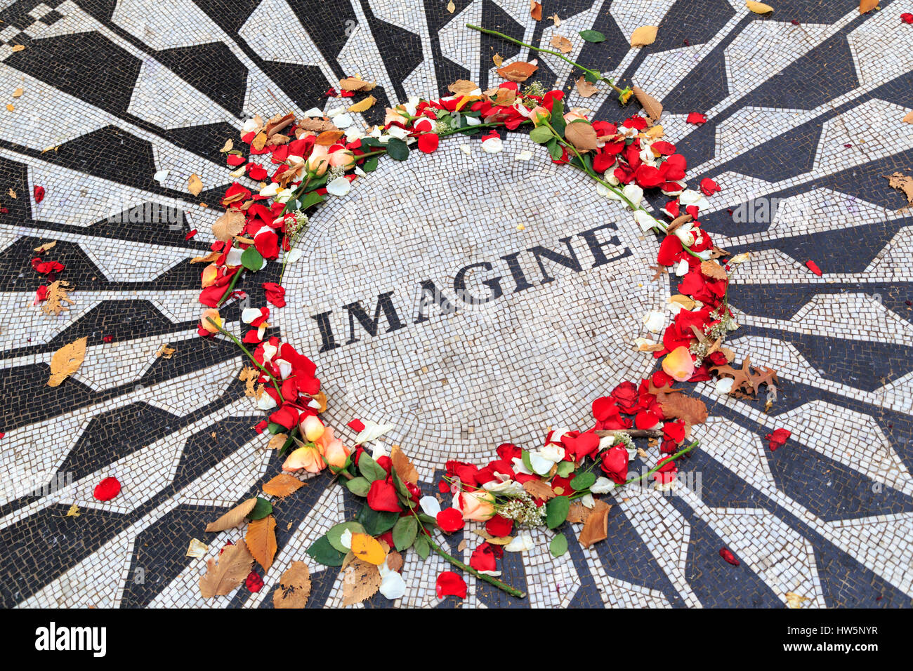 USA, New York, Manhattan, Central Park, champs de fraises, imaginez Mosaic Banque D'Images