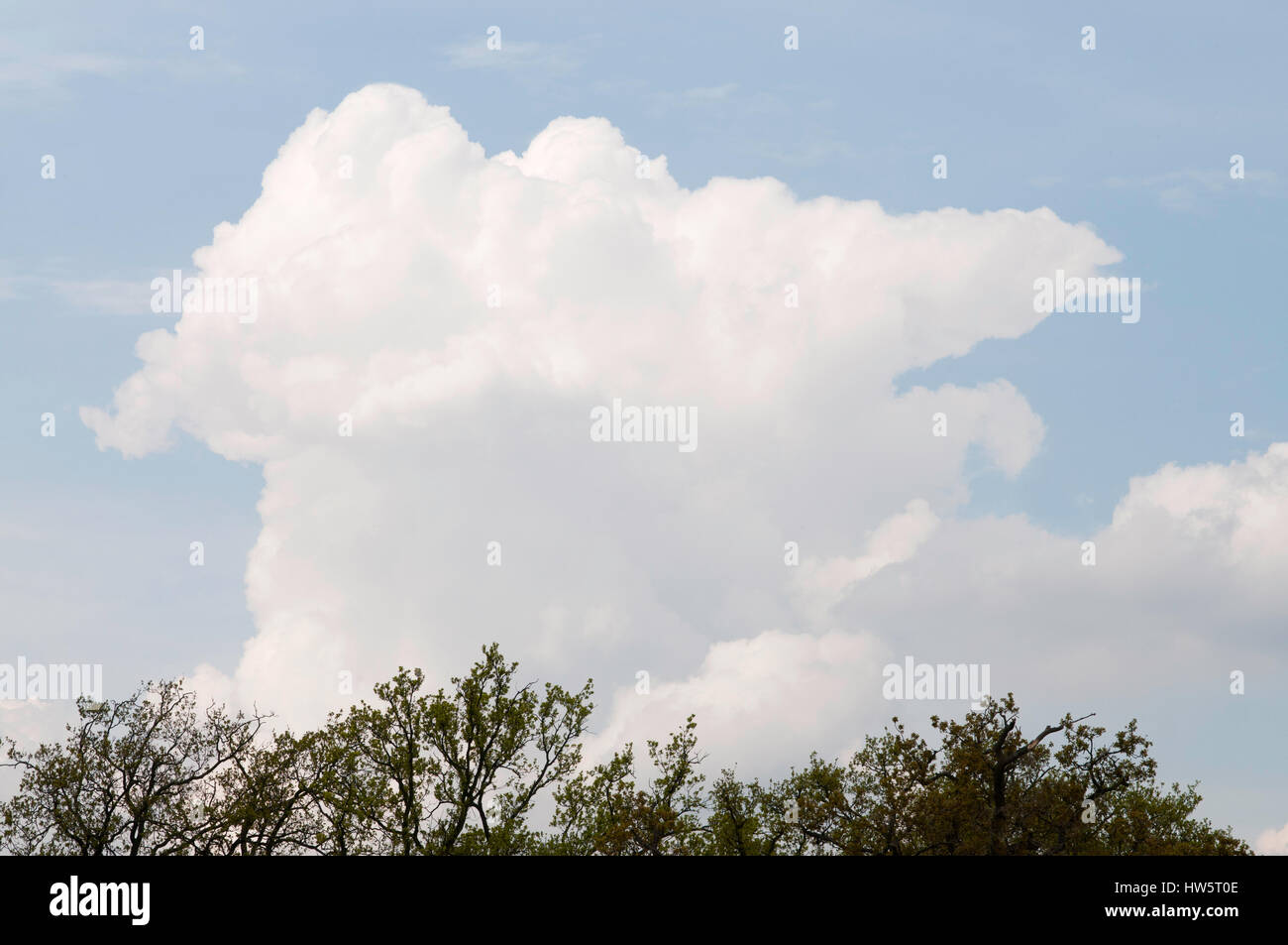 Cumulonimbus formant Banque D'Images