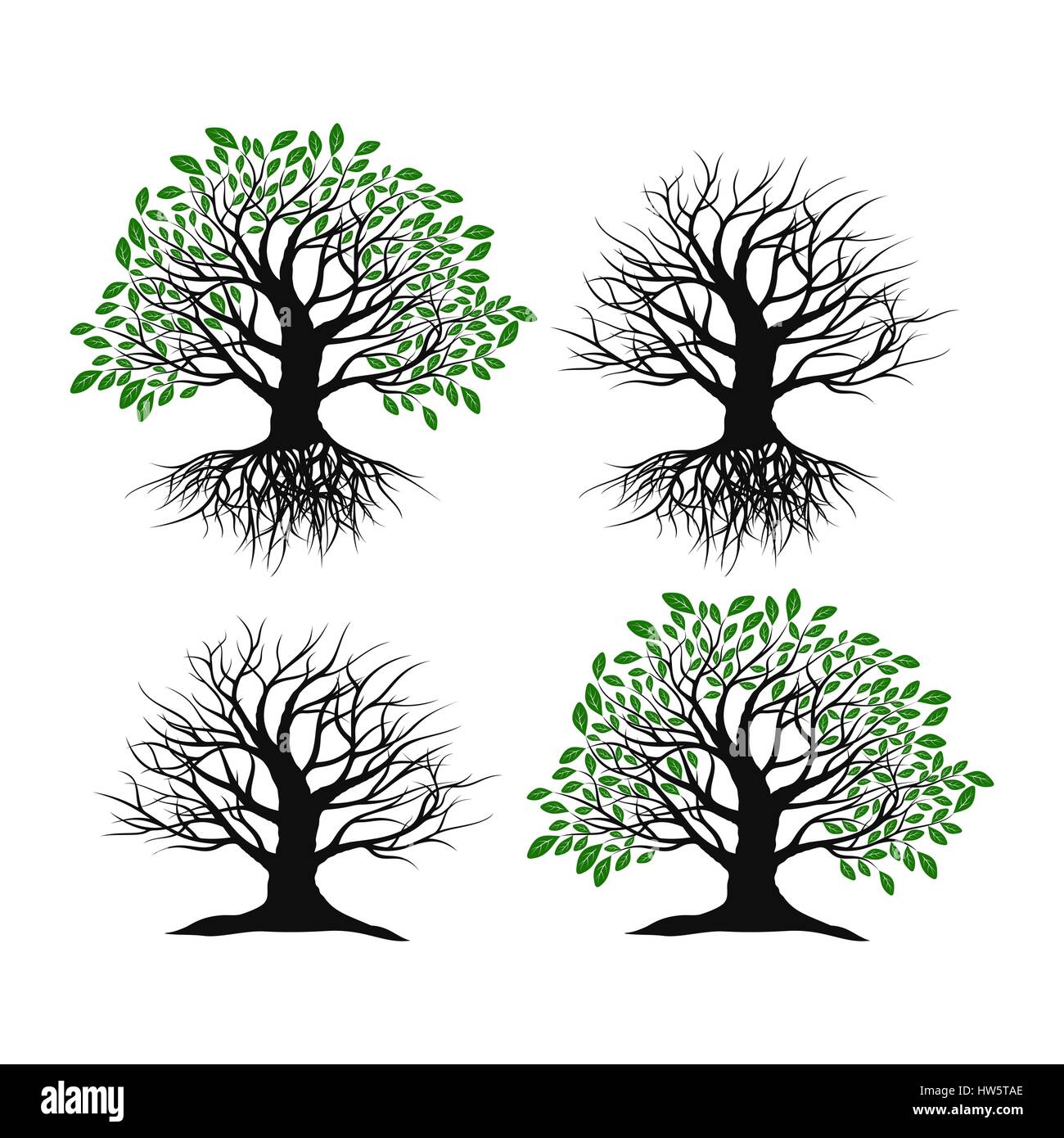 Ensemble d'arbres sur un fond blanc Illustration de Vecteur
