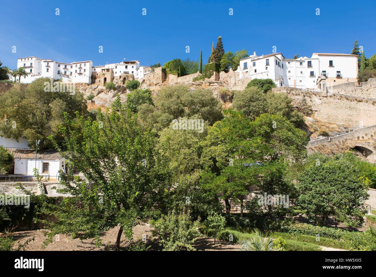 Espagne, Andalousie, province de Malaga, Ronda, les jardins du 13e siècle, les bains arabes dans le vieux quartier de juifs Banque D'Images