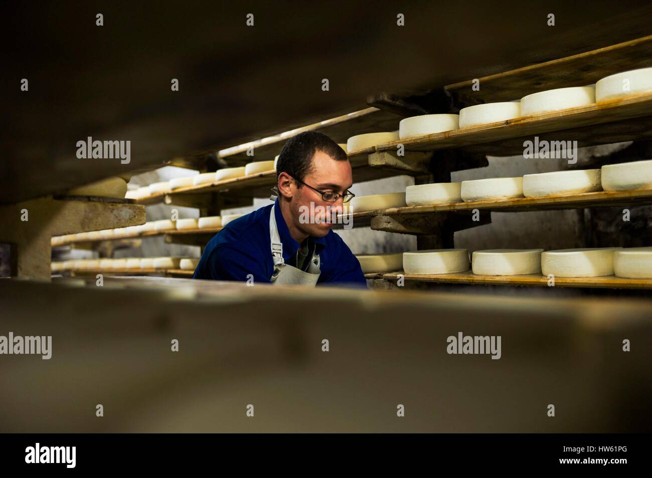 France, Savoie, Plancherine, de montagnes des Bauges, monastère cistercien de Notre-Dame de Tamié, maturation du fromage Banque D'Images