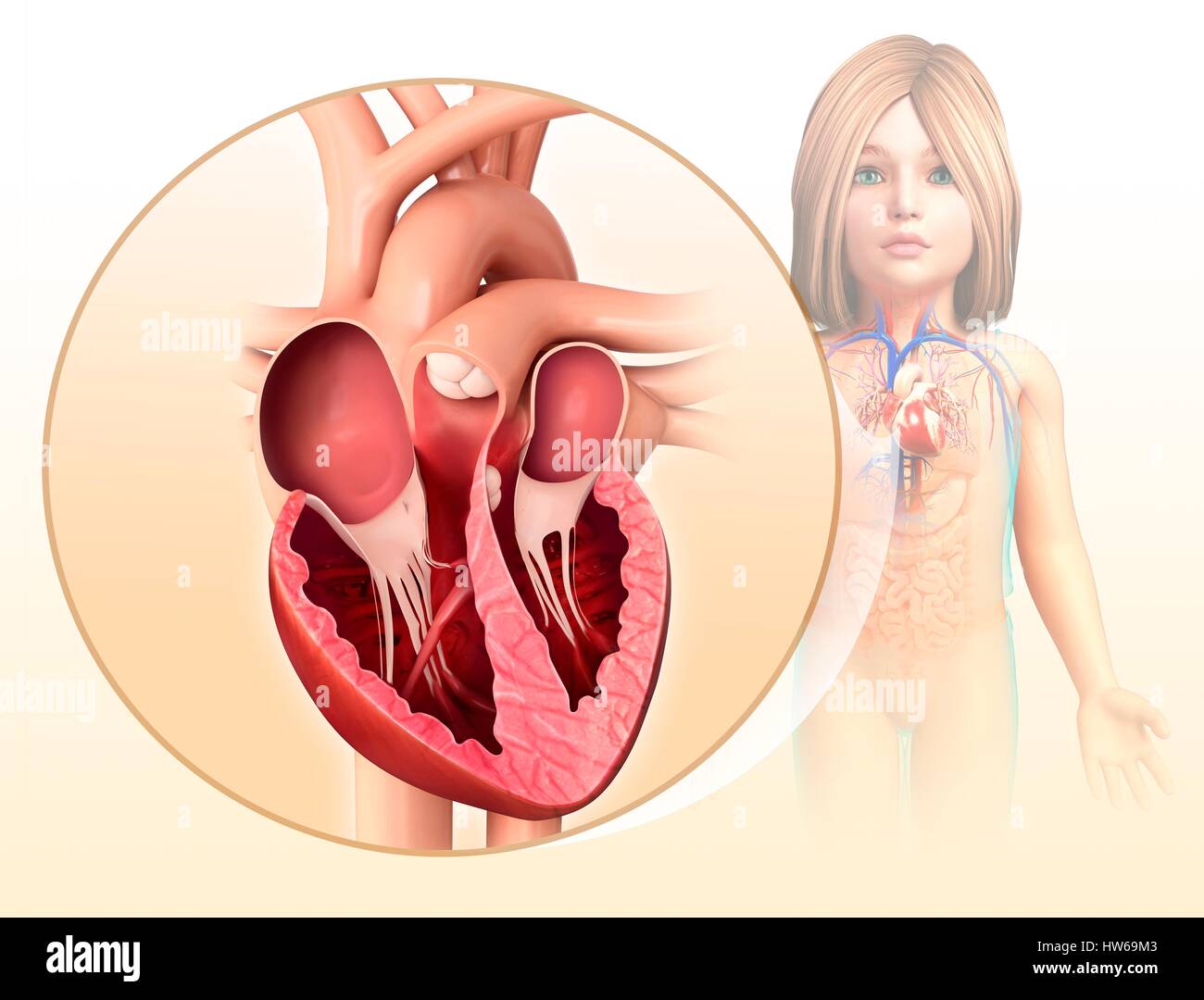 Illustration d'un cœur de l'enfant chambres. Banque D'Images