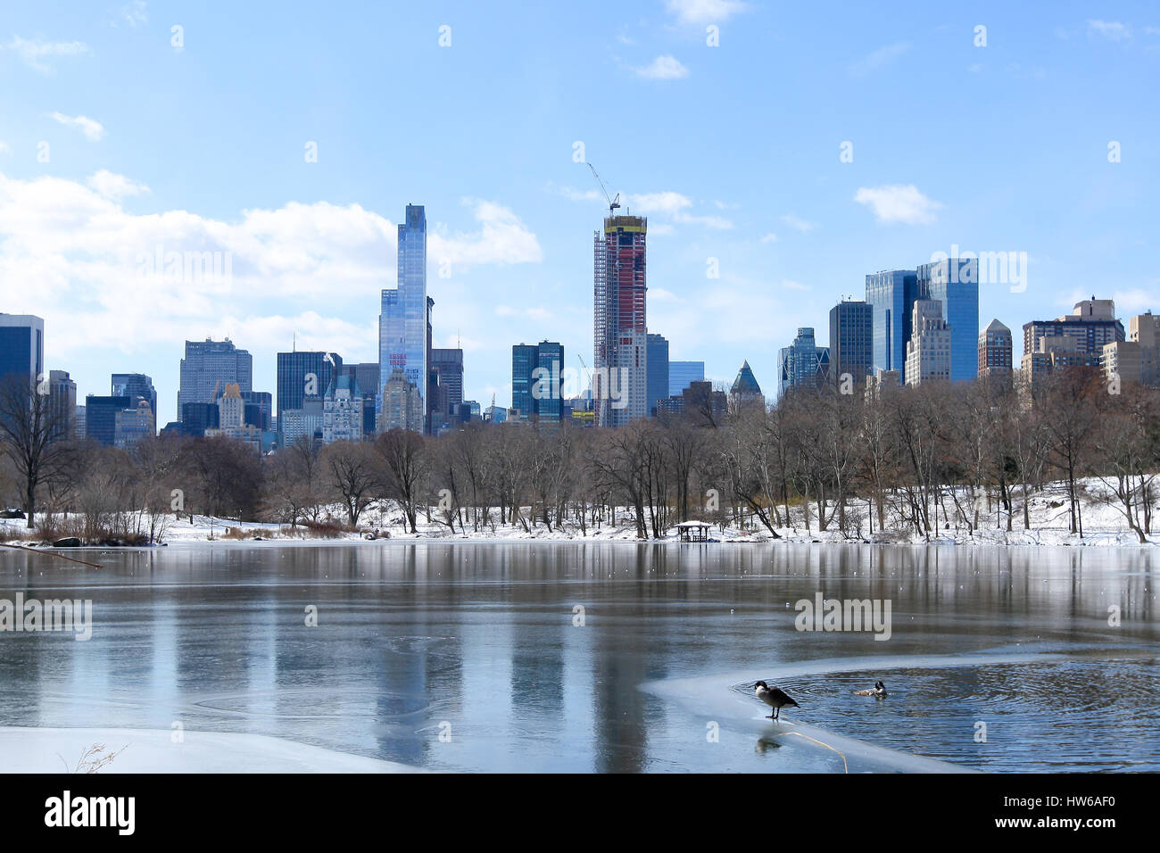 L'hiver à Central Park, New York, NY Banque D'Images