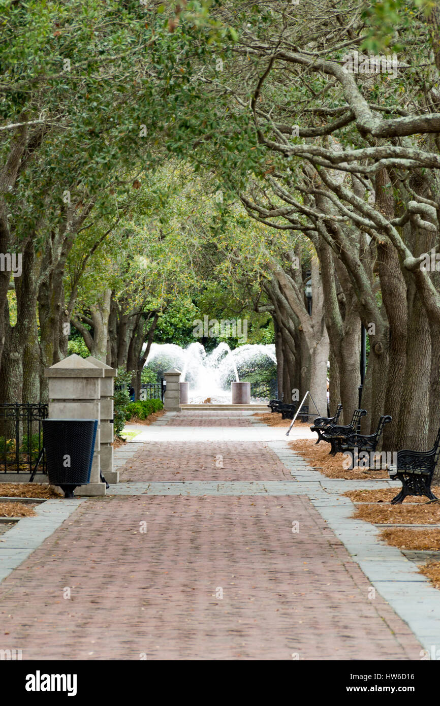 Waterfront Park de Charleston, SC, avec fontaine dans la distance Banque D'Images
