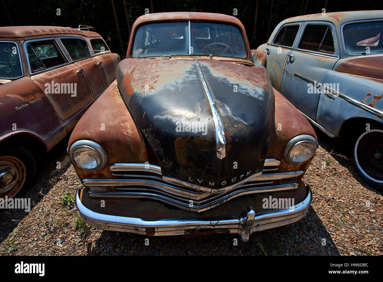 Oldtimer, Plymouth, carcasses de voitures, près de Spokane, Washington, USA Banque D'Images