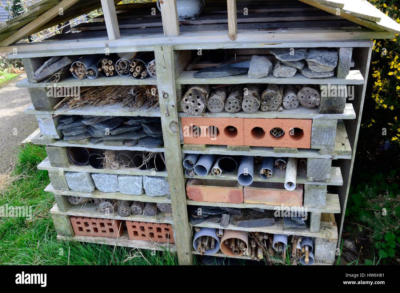 Insect bug fort house un abri pour les insectes Les insectes et invertibrates Banque D'Images