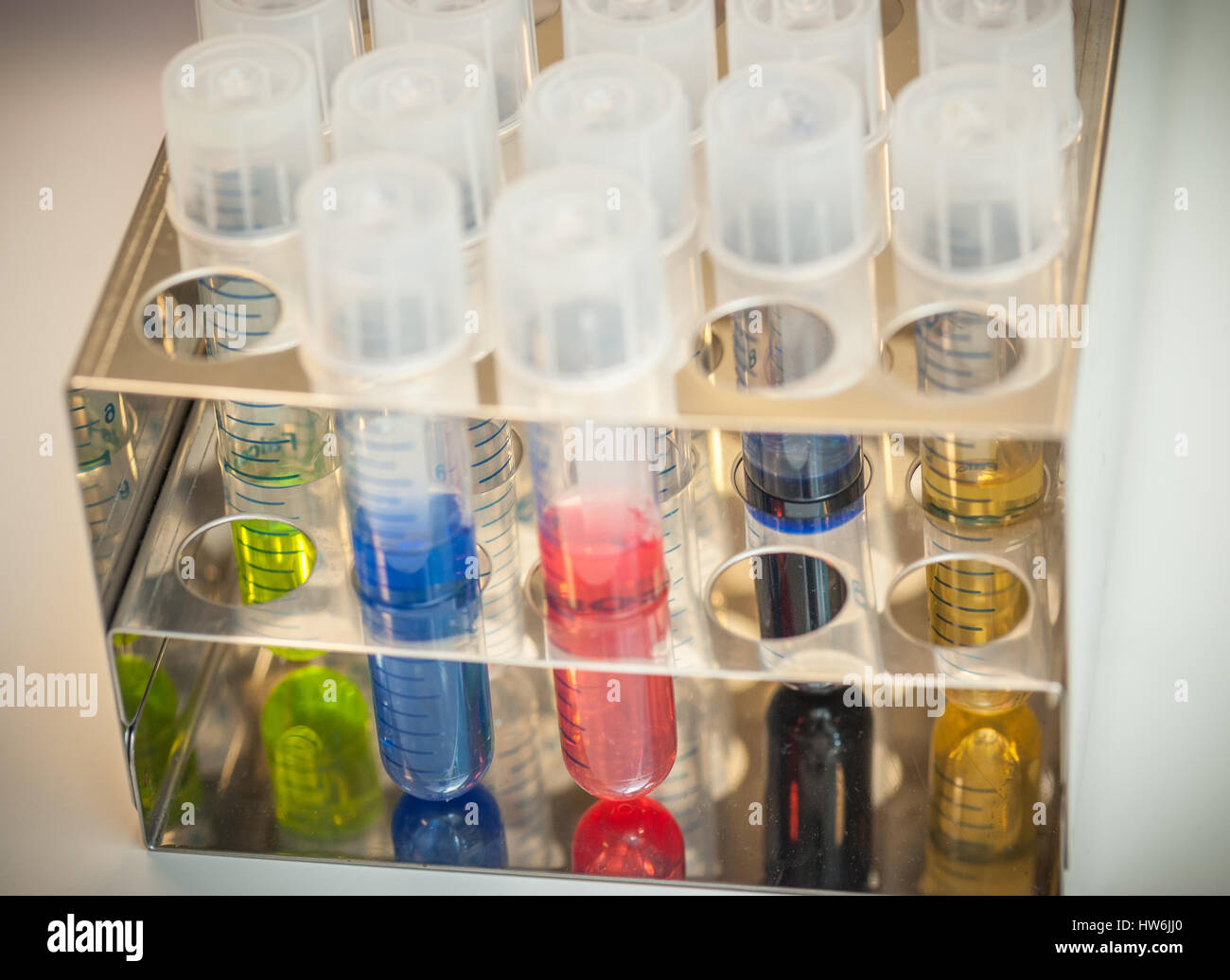 Rack de tubes à essai avec des liquides colorés Banque D'Images
