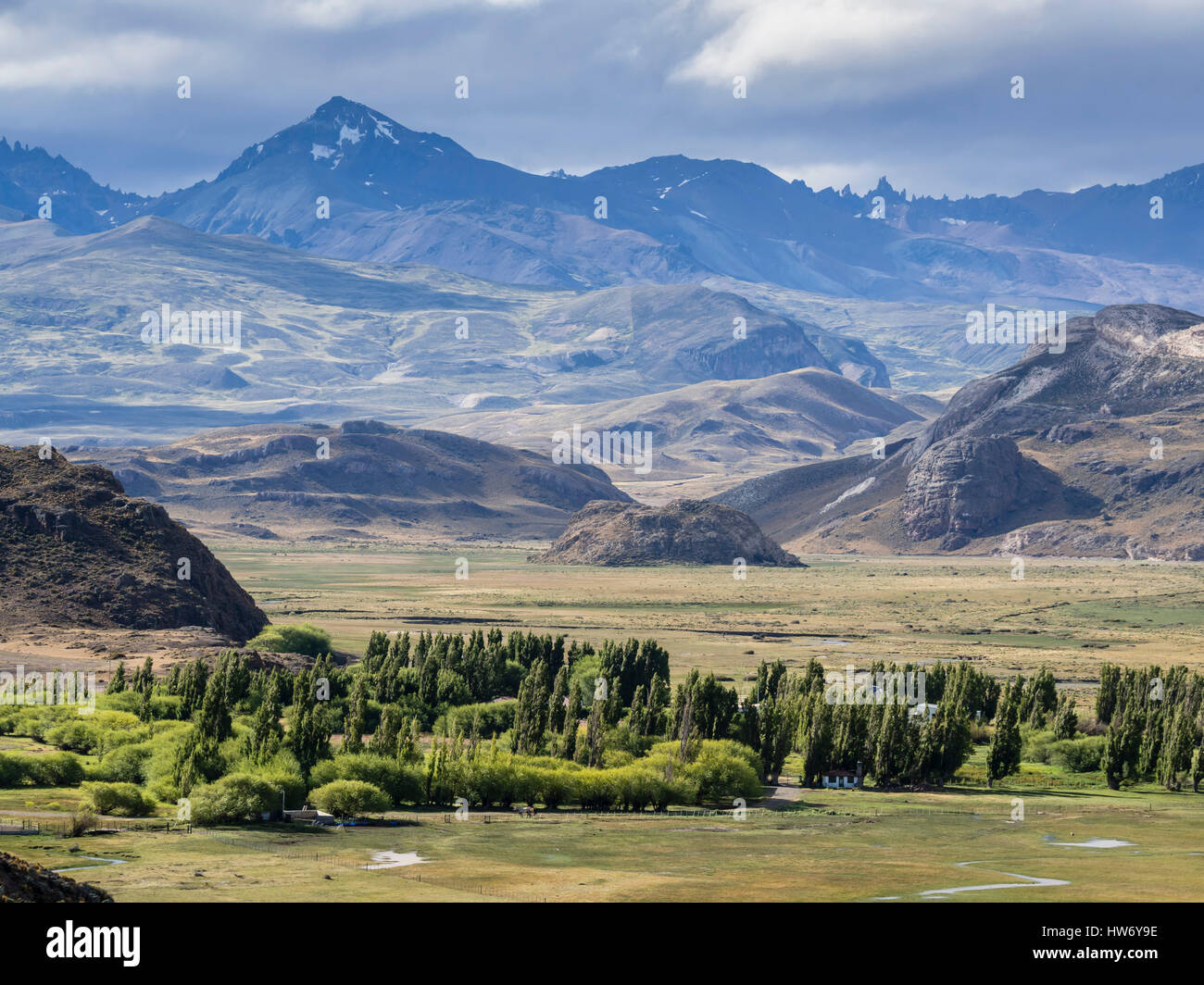 Paysage aride le long de la route de gravier de ruta 40 en Argentine à la frontière à Paso Roballos, petite forêt dans une ferme, Patagonie, Argentine Banque D'Images