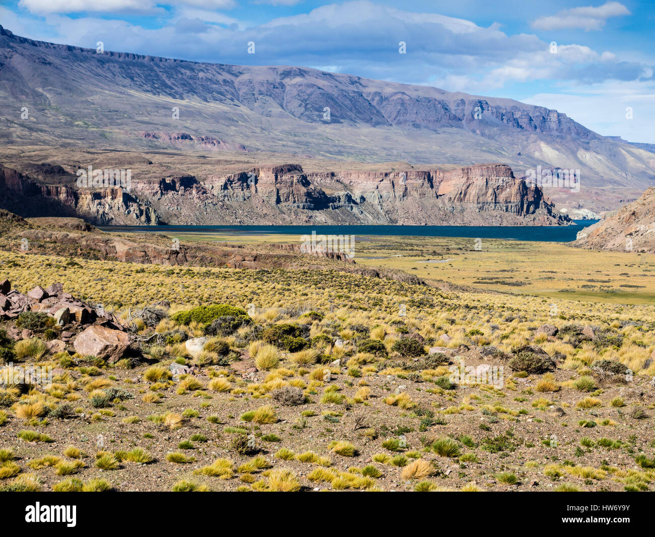Paysage aride le long de la route de gravier de ruta 40 en Argentine à la frontière à Paso Roballos, Patagonie, Argentine Banque D'Images