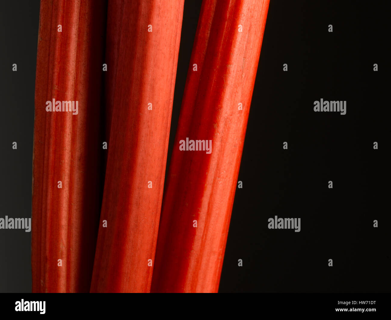 Bâtons de rhubarbe Banque D'Images