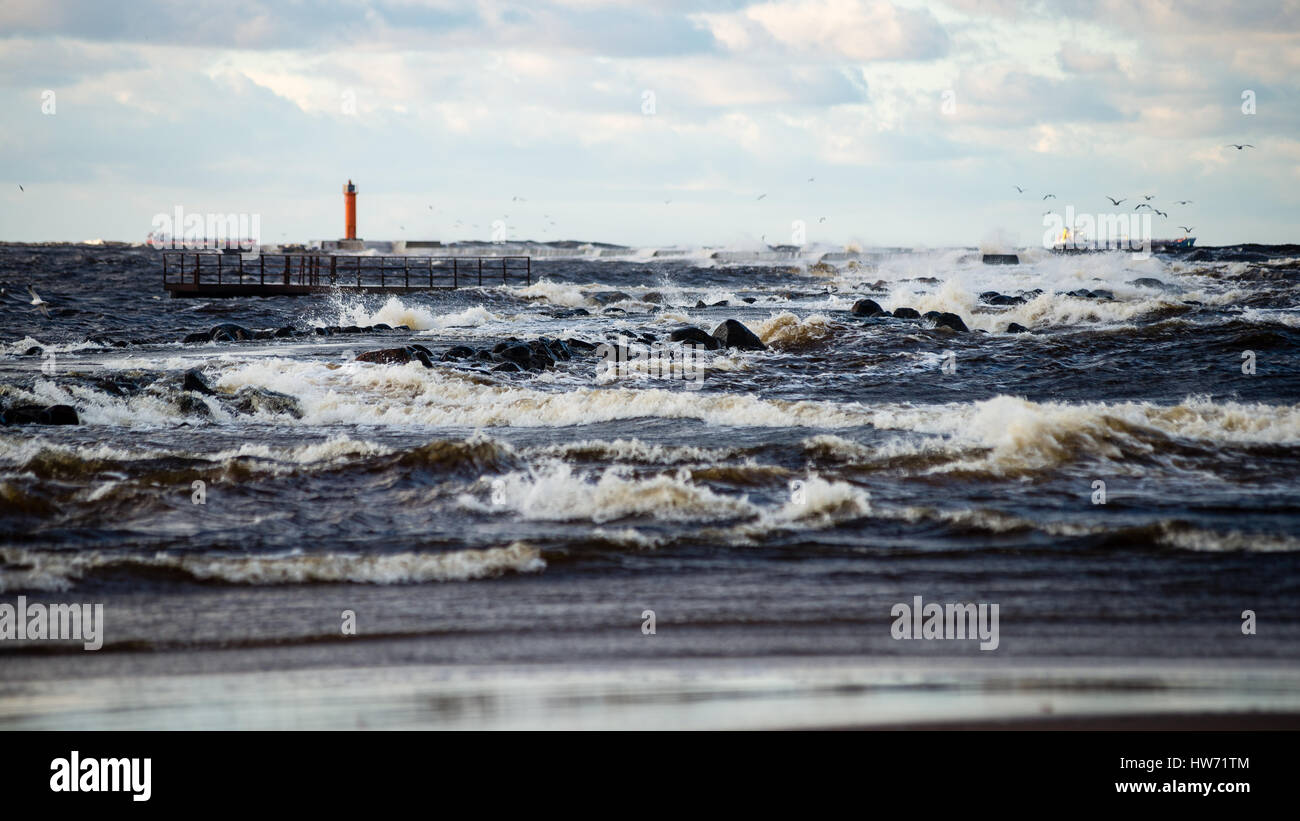 Mer Agitée en hiver avec des vagues et des mouettes blanches écrasant Banque D'Images