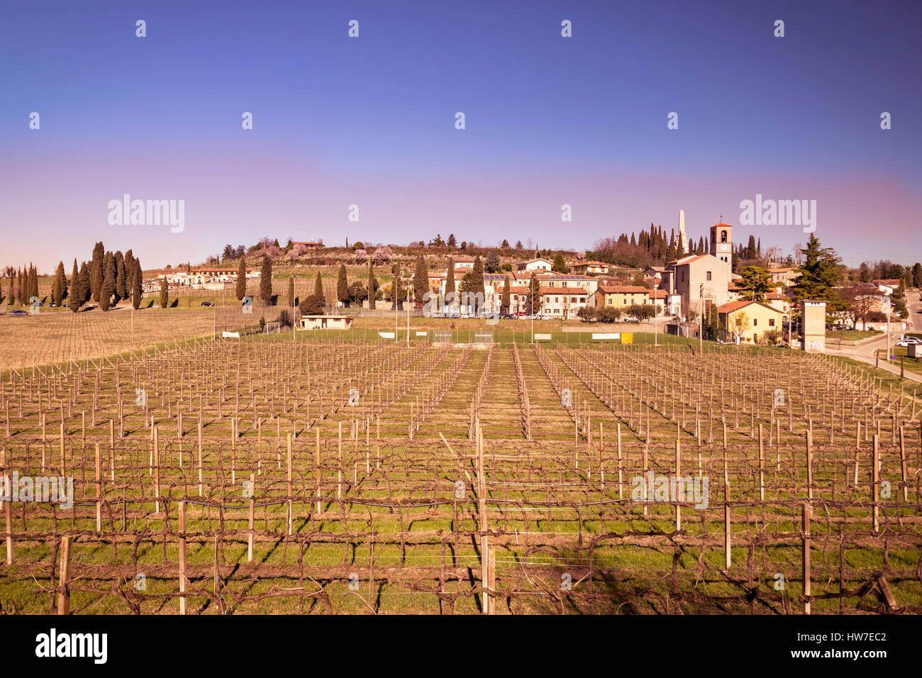 Avis de Custoza entouré par les vignobles qui produisent le célèbre vin blanc du même nom. Banque D'Images