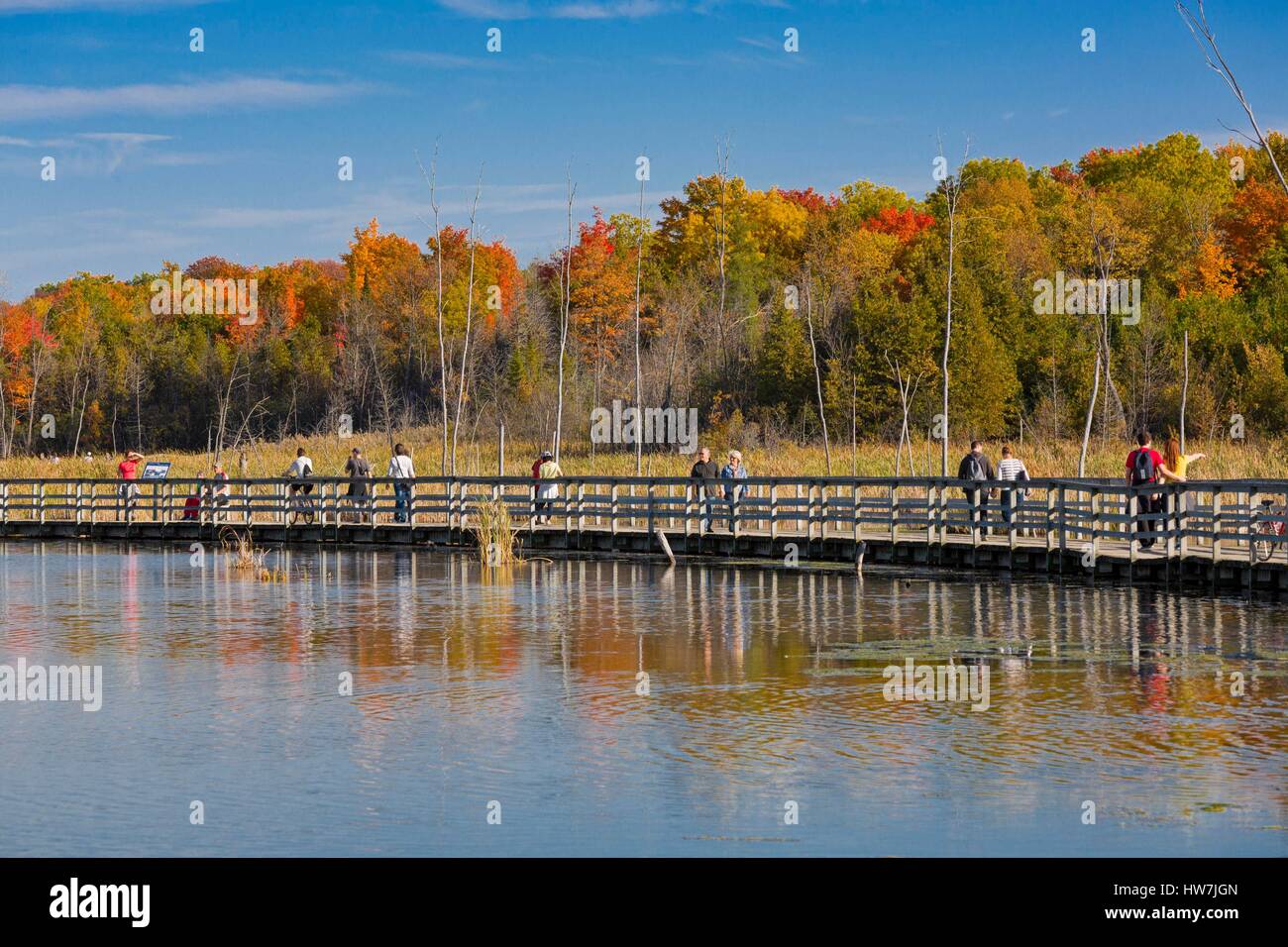 Canada, Québec, Montréal, l'Île Bizard, le parc naturel de bois de l