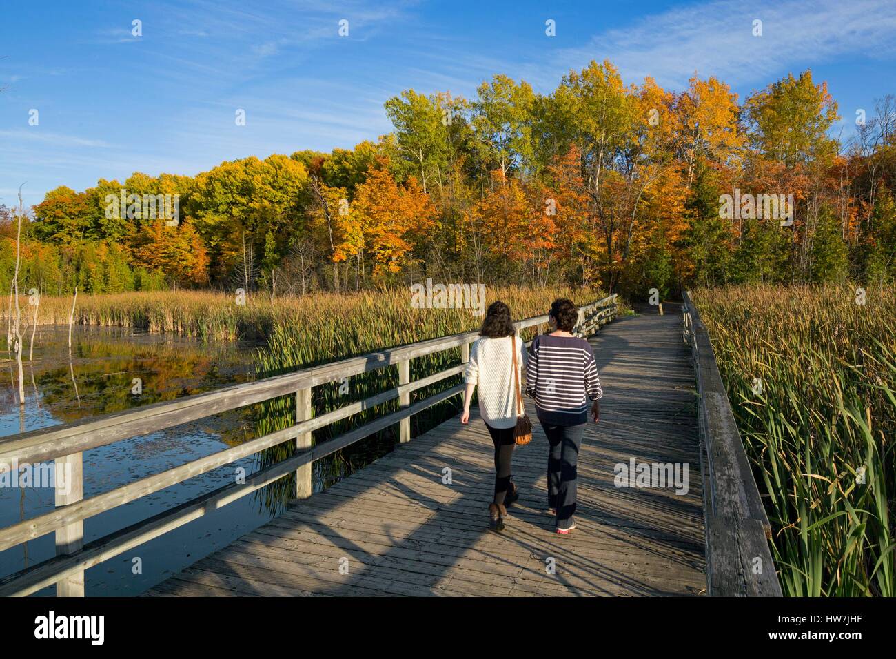 Canada, Québec, Montréal, l'Île Bizard, le parc naturel de bois de l'Ile Bizard dans les couleurs de l'automne, les randonneurs sur une passerelle en bois Banque D'Images