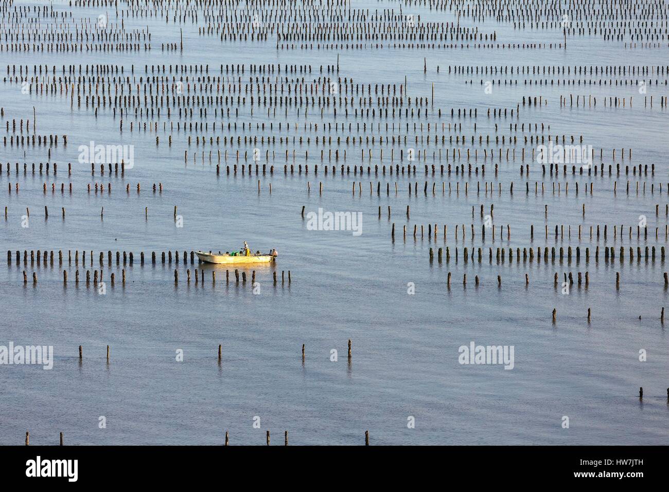En France, en Vendée, la faute sur Mer, l'homme dans un appel d'offres dans un moules bouchot ferme (vue aérienne) Banque D'Images