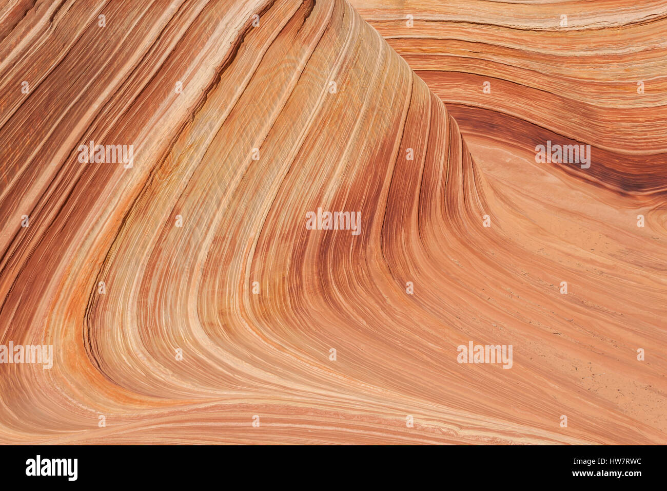 La vague et l'Coyote Buttes, Arizona-Utah frontière. Banque D'Images