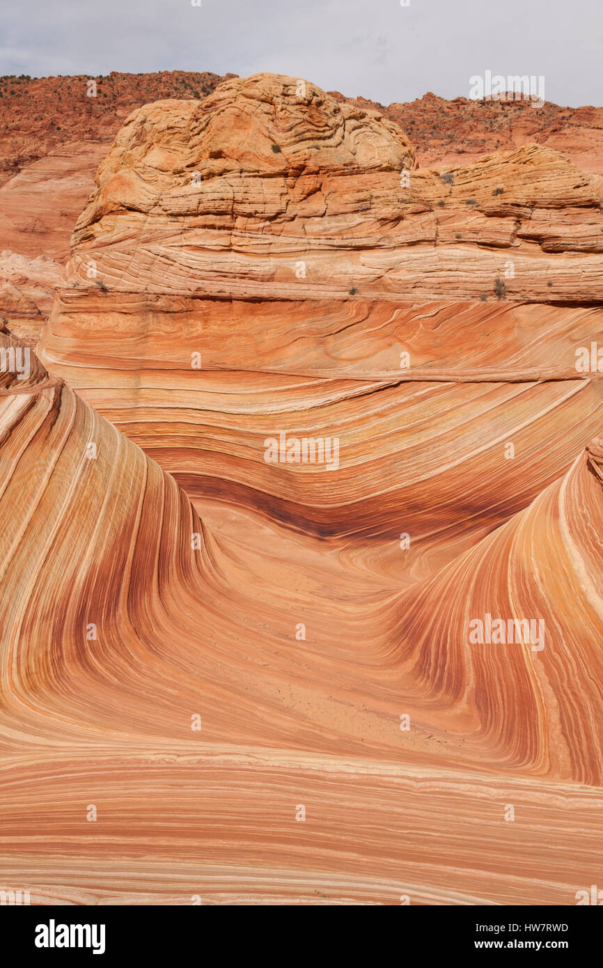 La vague et l'Coyote Buttes, Arizona-Utah frontière. Banque D'Images