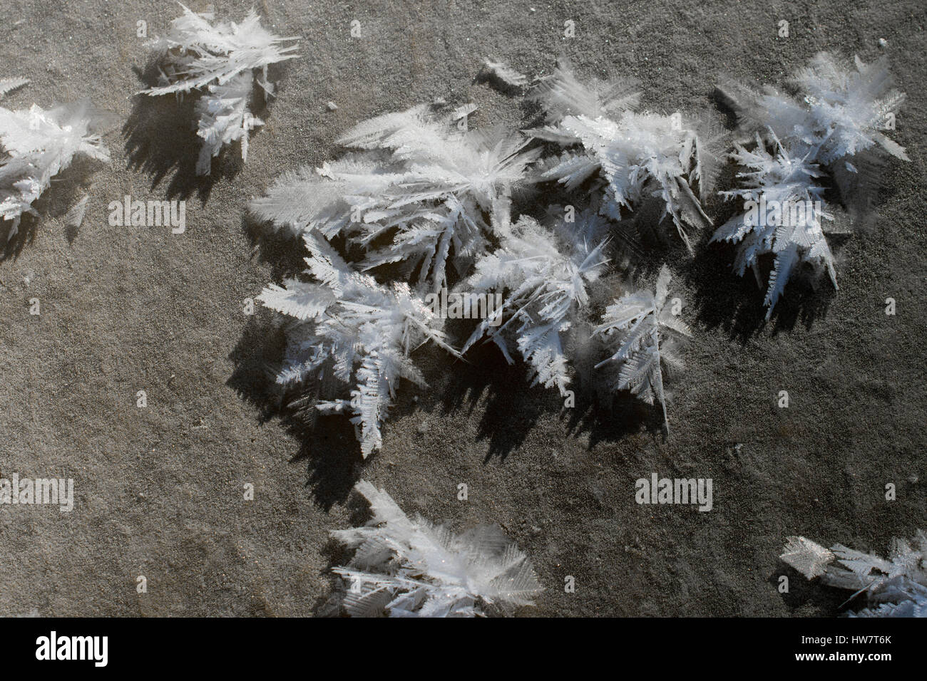 La formation de cristaux de glace sur glace sale Banque D'Images