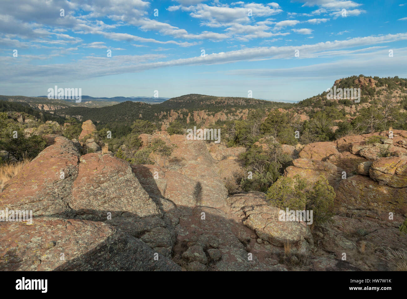 Le Jardin du Diable dans la forêt nationale de Gila, Nouveau Mexique Banque D'Images