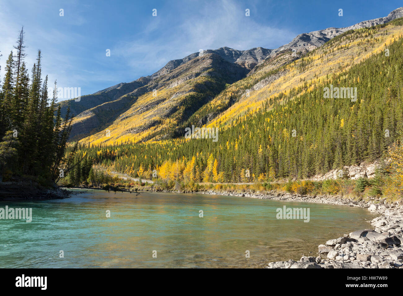 Couleurs d'automne le long de la rivière de crapaud, Canada Banque D'Images