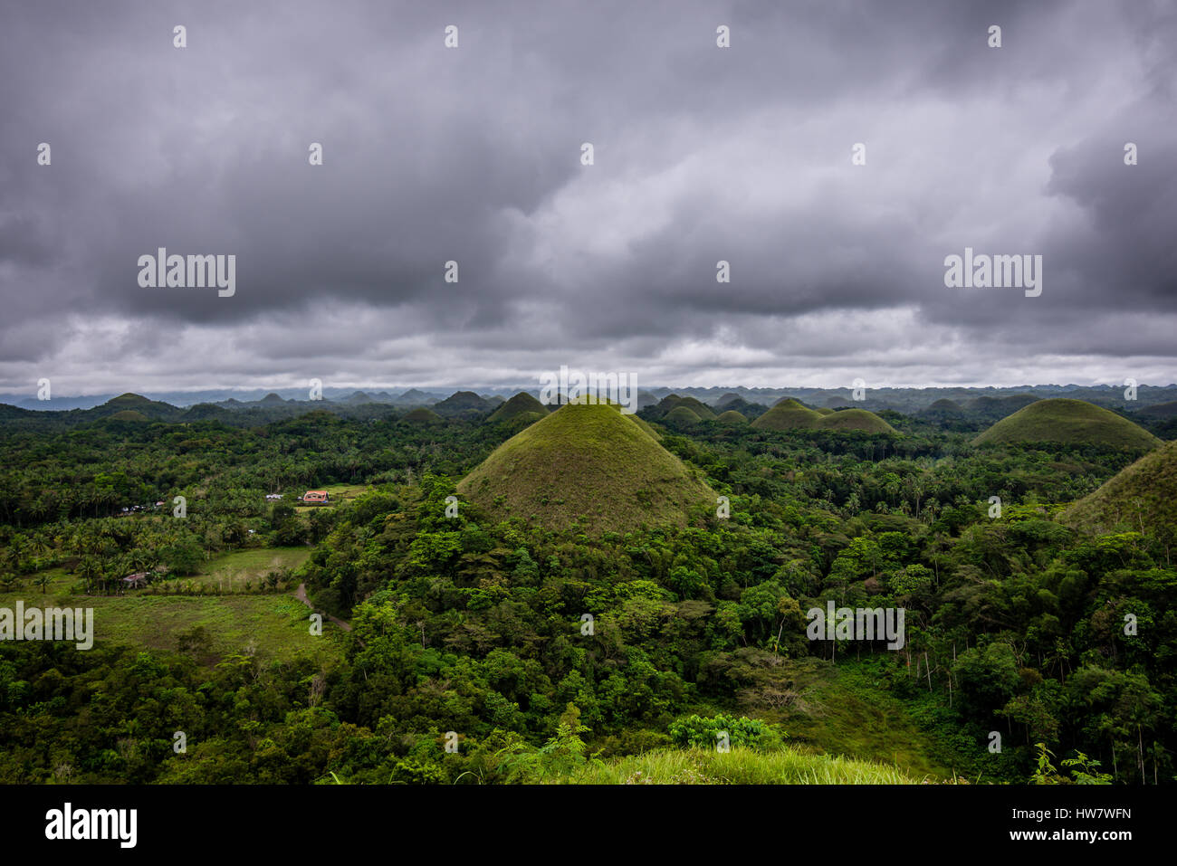 Impressionnant et célèbre montagne de chocolat de l'île de Bohol, Philippines. Banque D'Images