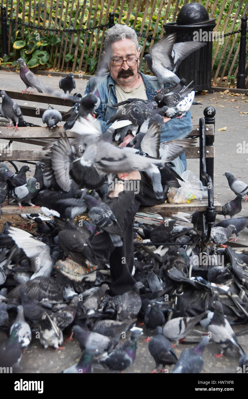 Portrait de Paul, l'homme qui nourrit les pigeons à Washington Square Park, Greenwich Village, New York City Banque D'Images