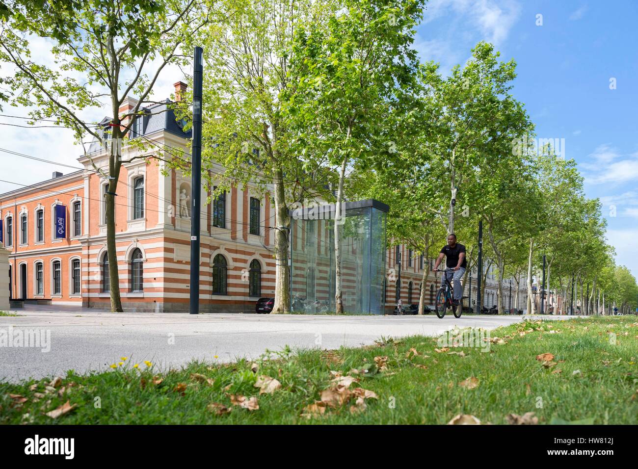 France, Haute-Garonne (31), Toulouse, Allées Jules Guesde, Quai des savoirs, Fan Zone de la coupe d'Europe de Football UEFA Banque D'Images