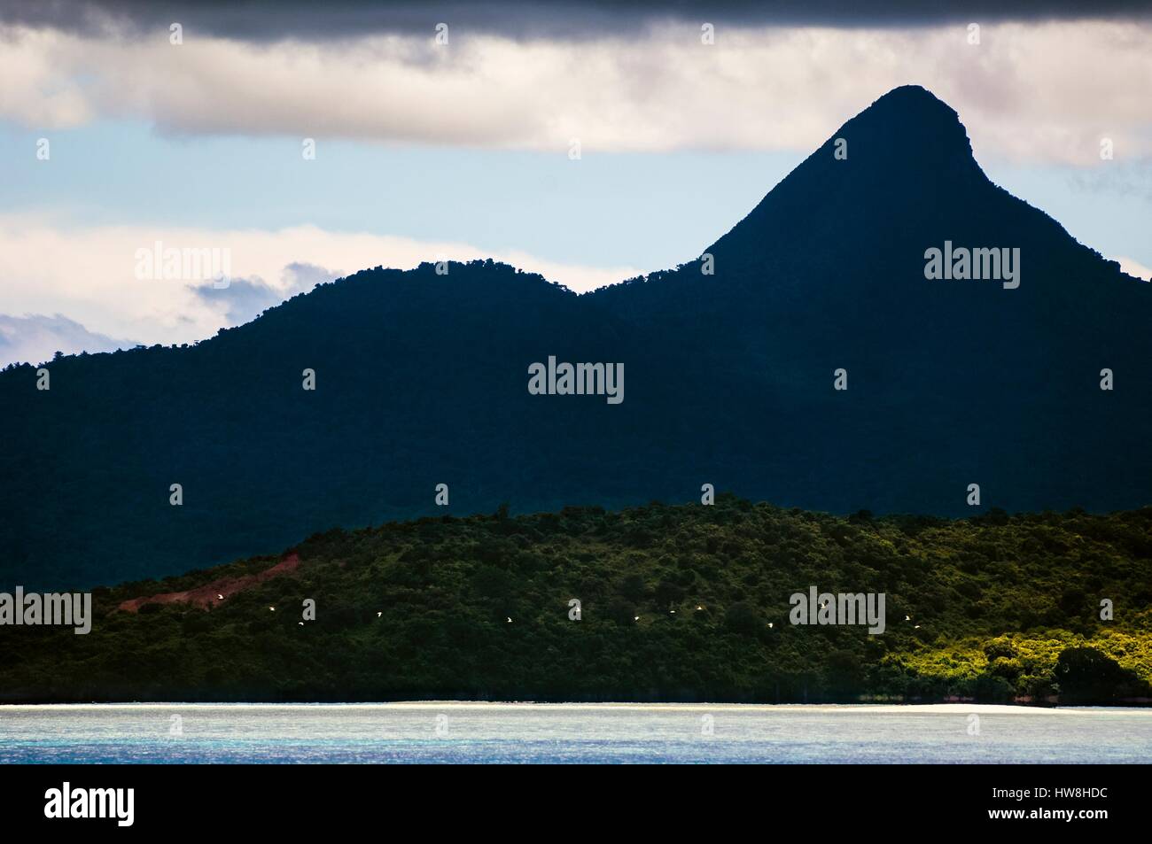 La France, l'île de Mayotte (département français d'outre-mer), la Grande Terre, le Mont Choungui (594 mètres) en silhouette sous les nuages avec le vol des sternes (Thalasseus bengalensis) à partir de la lagune Banque D'Images