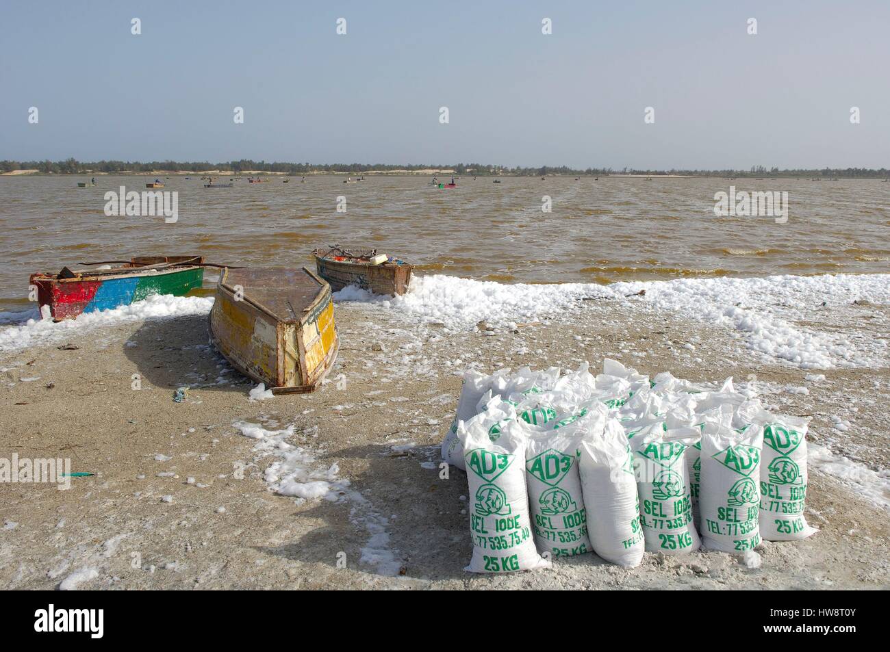 Le Sénégal, région de Dakar, le lac Rebta (Lac Rose), récolte du sel Banque D'Images