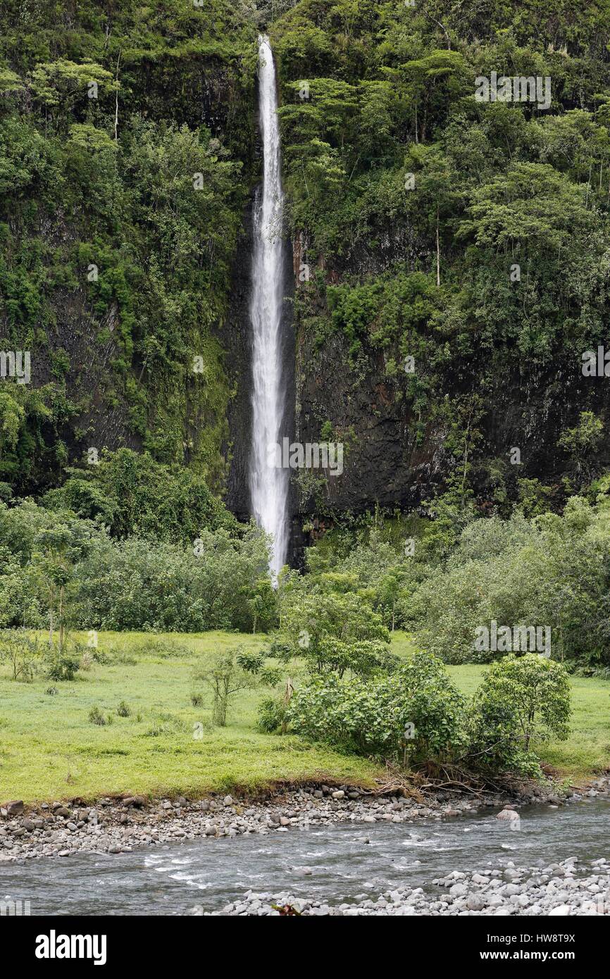 La France, la Polynésie française, l'archipel des îles du Vent, île de Tahiti, la vallée de la rivière Papenoo Banque D'Images
