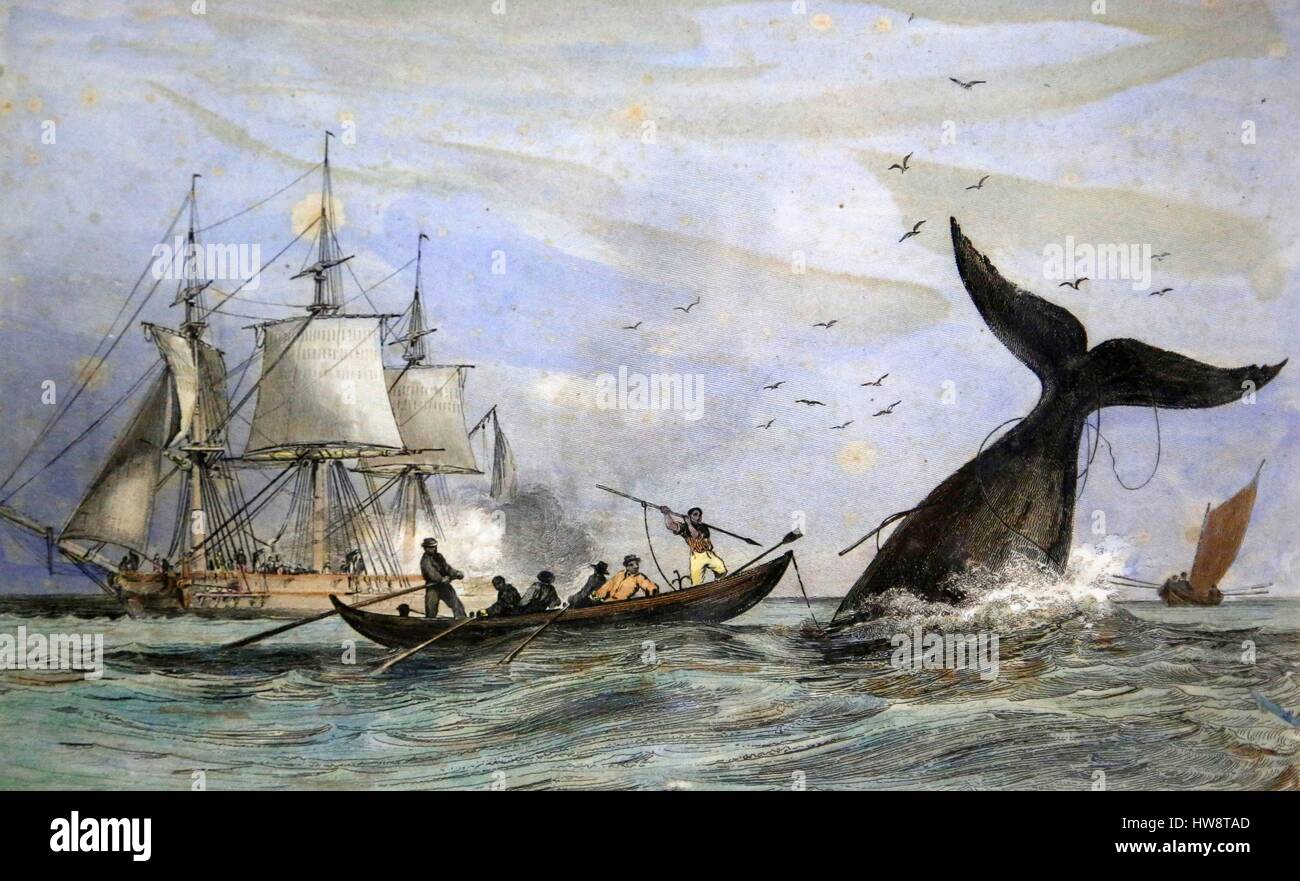 La France, la Polynésie française, l'archipel des îles du Vent, île de Tahiti, Tahiti et les îles Museum à Pointe des pecheurs, exposition d'art ancien artefact Banque D'Images