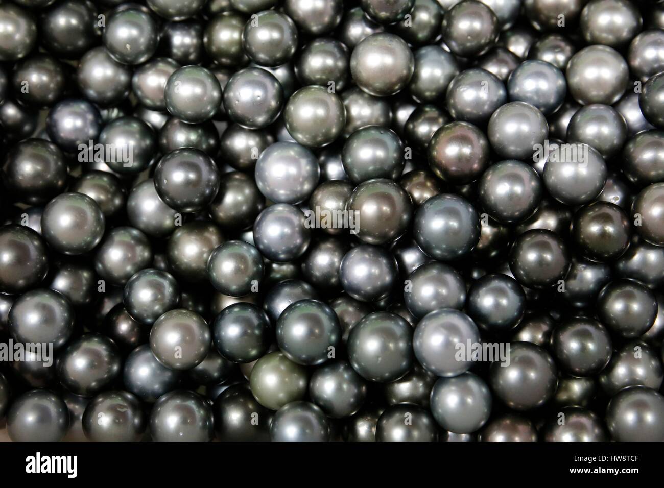 La France, la Polynésie française, l'archipel des îles du Vent, île de Tahiti, Papeete, le marché, les perles Banque D'Images