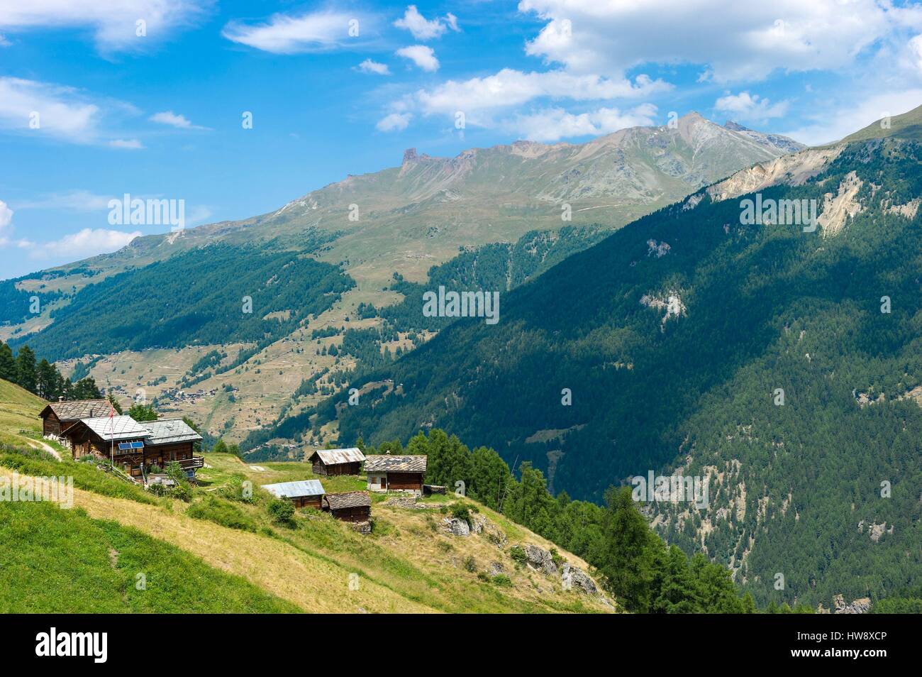 Suisse, Valais, Val d'Herens, Evolene, chalets traditionnels dans les pâturages Lana Banque D'Images