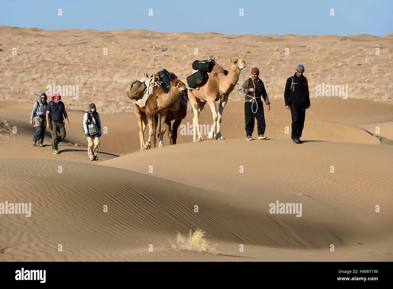 Iran, Ispahan province, Dasht-e Kavir, désert de Mesr Khur et Biabanak County, train de chameaux dans les dunes de l'endroit appelé Kuh-e Sefid dans un chameau Banque D'Images