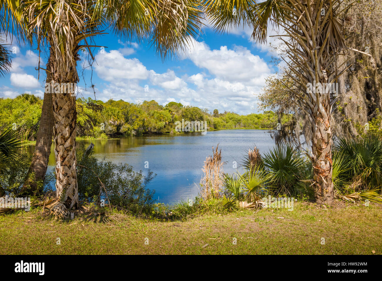 Deer Creek Prairie Preserve à Venise en Floride Banque D'Images