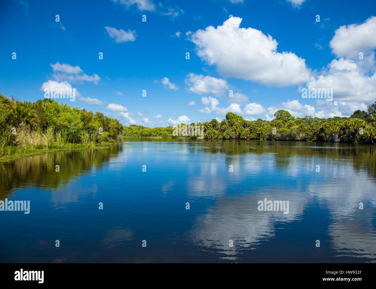 Deer Creek Prairie Preserve à Venise en Floride Banque D'Images