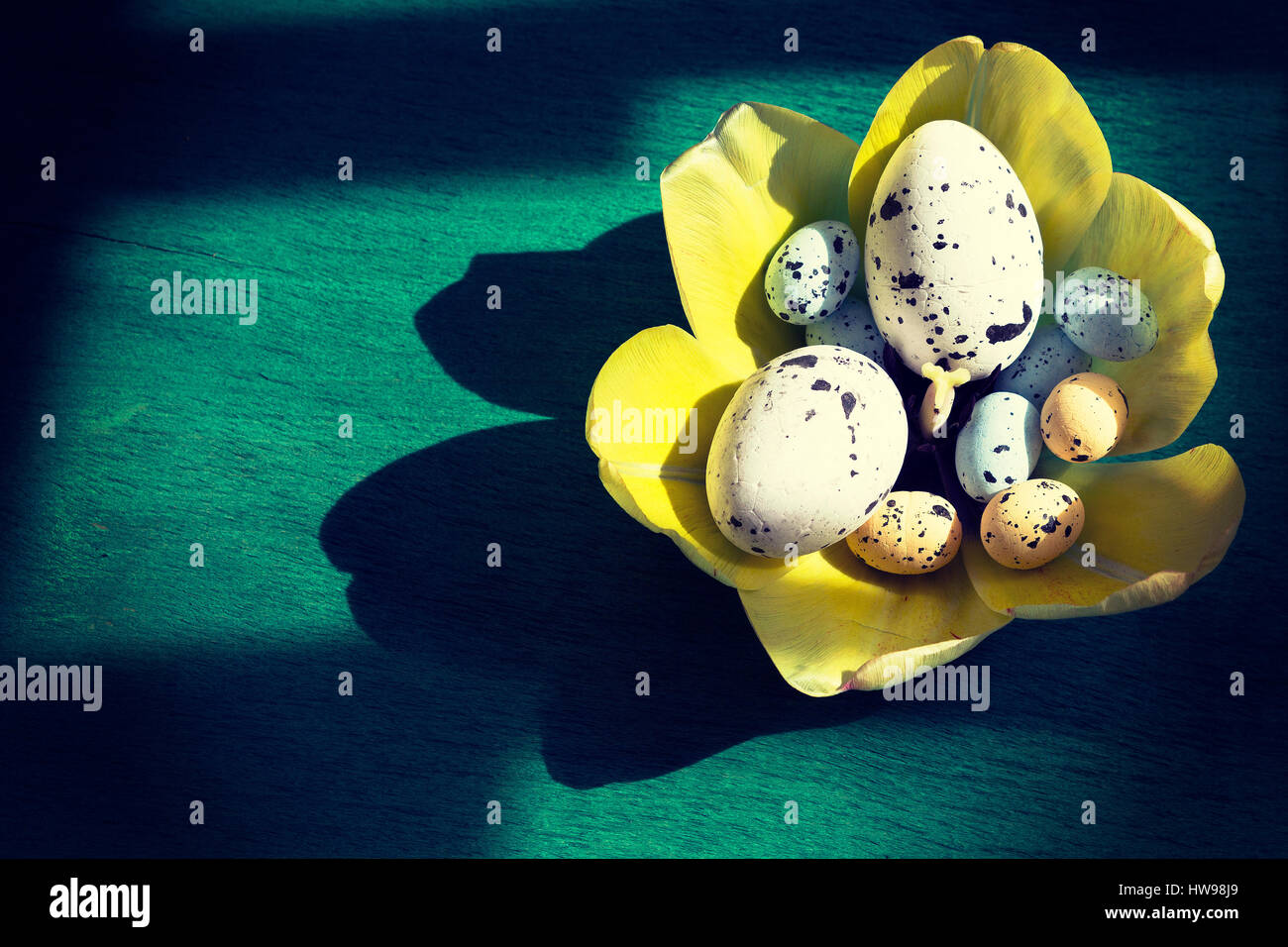 Les oeufs de Pâques colorés dans le nid de tulipes Banque D'Images