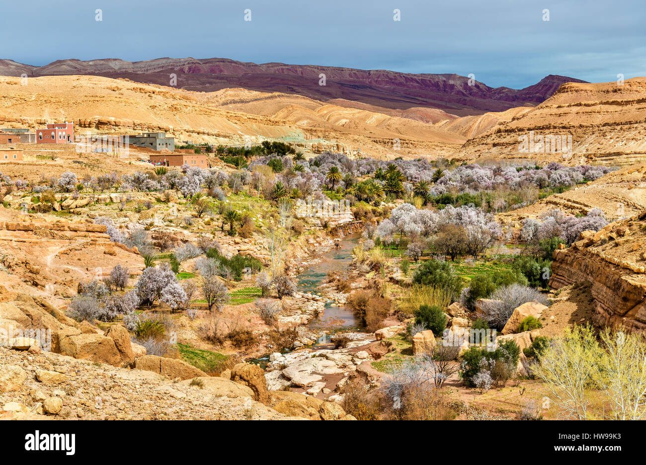 Paysage de l'Asif Ounila vallée dans les montagnes du Haut Atlas, Maroc Banque D'Images