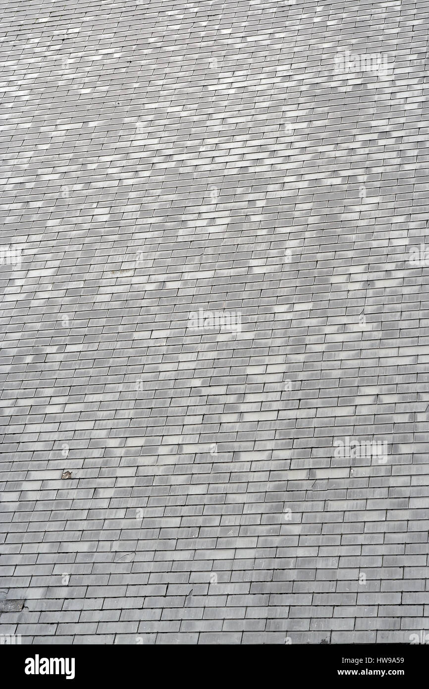 Tuiles de toit gris Banque D'Images