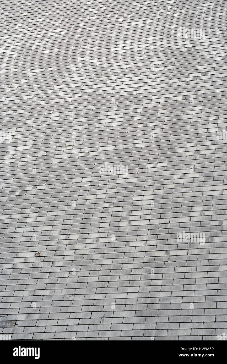 Tuiles de toit gris Banque D'Images