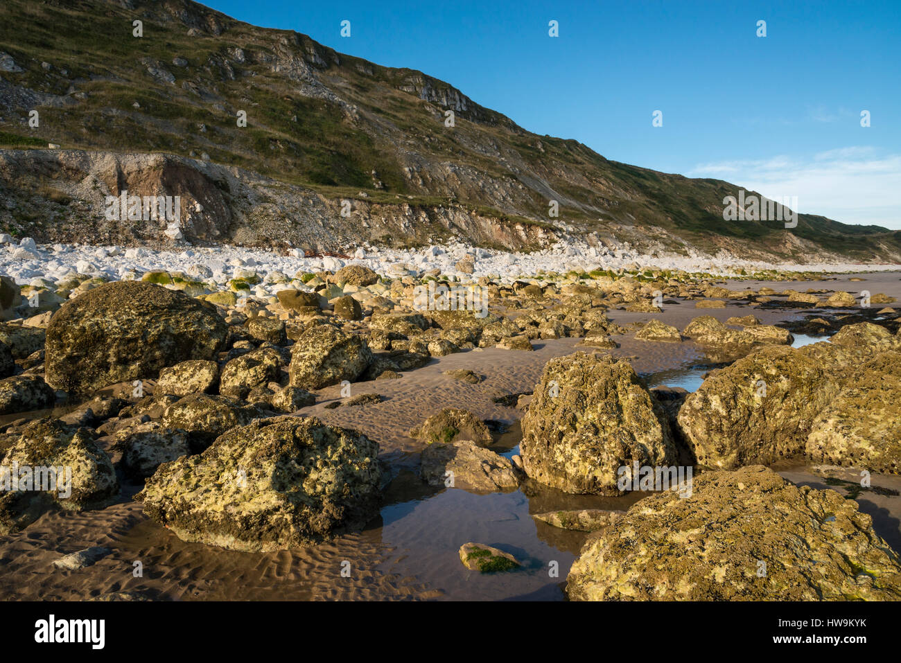 Les falaises à l'extrémité sud de St Francis Bay Bay. Site bien connu pour les géologues et les chasseurs de fossiles sur la côte du Yorkshire du Nord. Banque D'Images